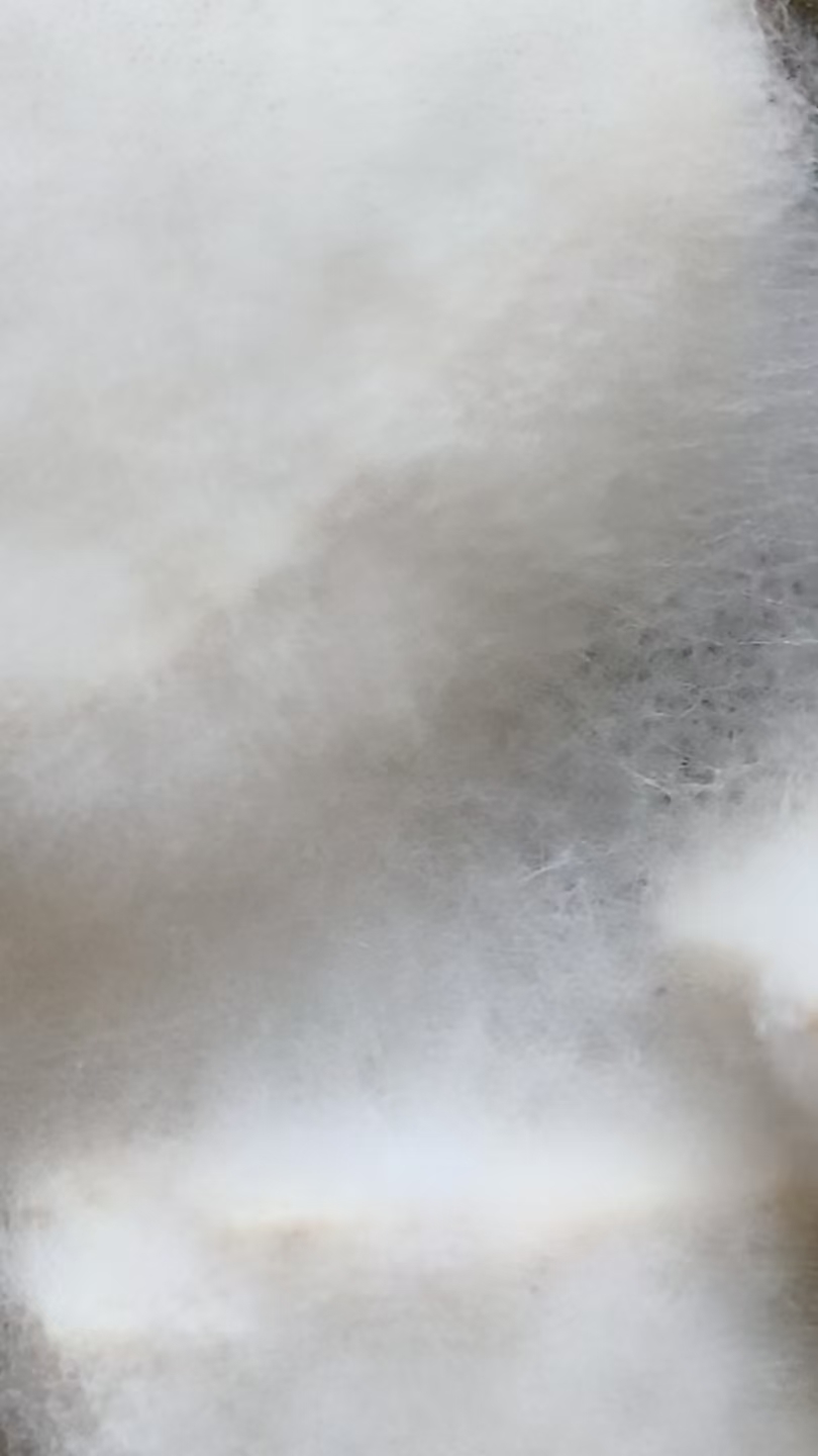 96c1c7147cea93f426c64aa194c07eb6.jpg